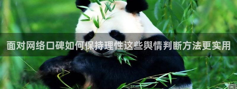 网络黑料原始来源