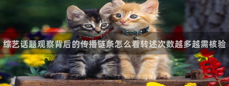 主播黑料证据梳理