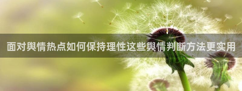 黑料事件完整时间线