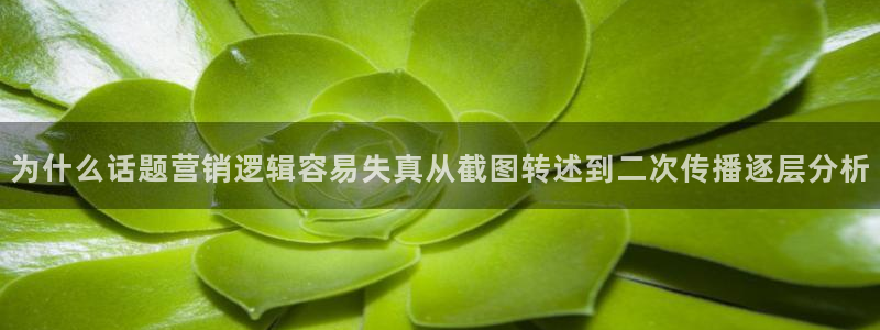 明星黑料后续进展