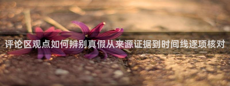 明星黑料真伪核验